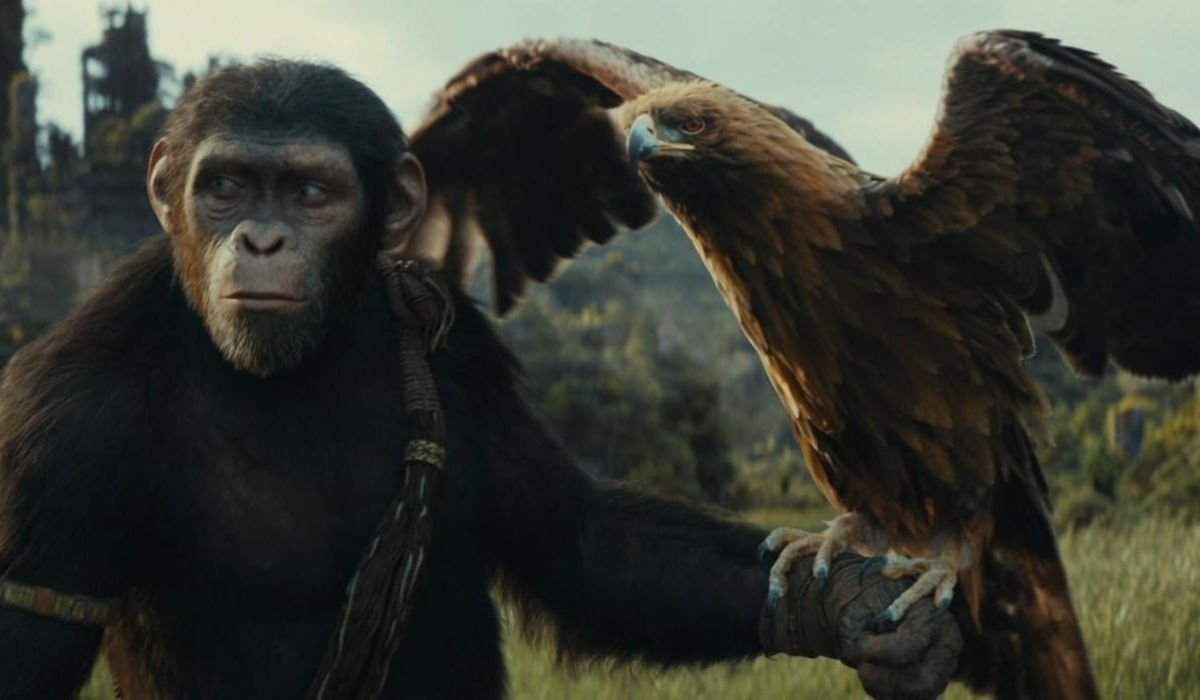 kingdom of the planet of the apes subtitles