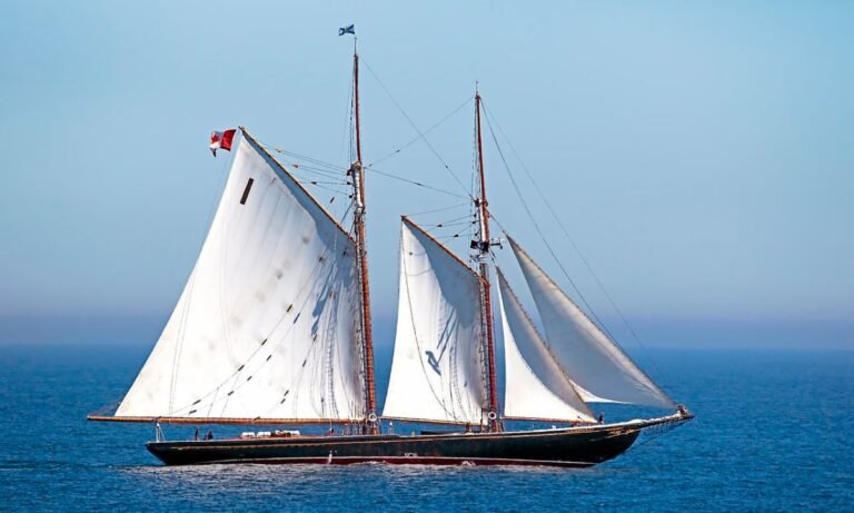 Nova Argonautica